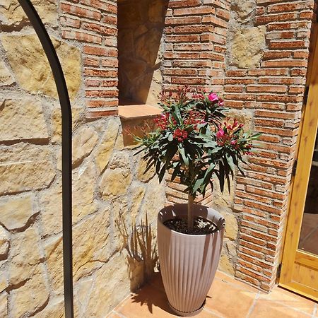 Casa Rural Del Pantano 4 Estrellas Buenache de Alarcon Екстер'єр фото